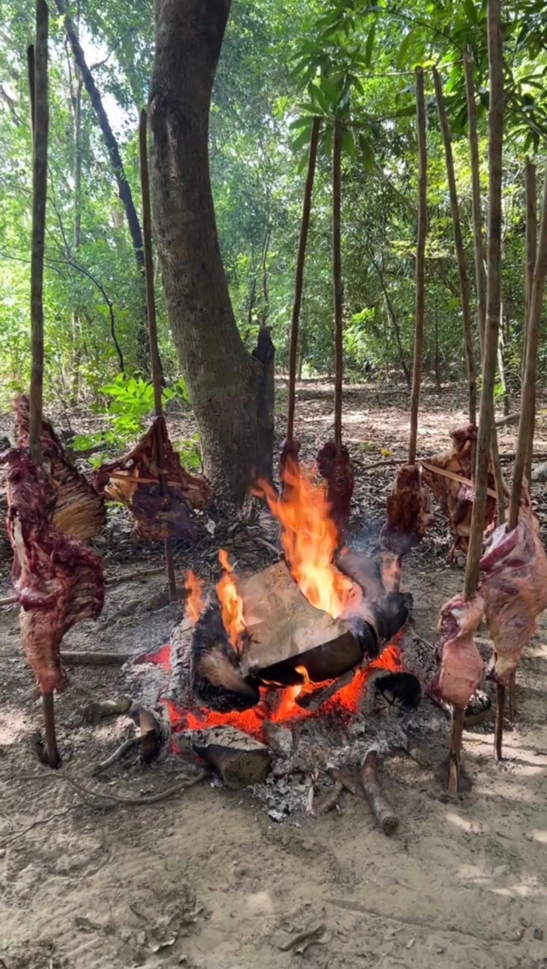 Mamona y hayacas